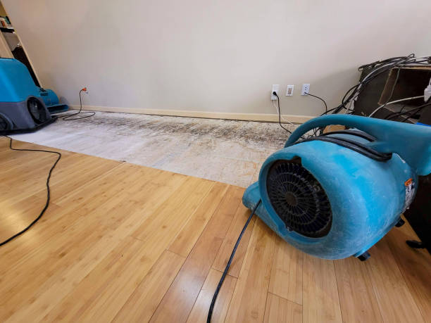 Professional Water Damage Repair technician working in Venedocia, OH