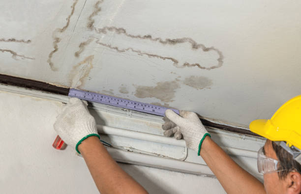 Affordable Water Damage Repair solutions in Venedocia, OH